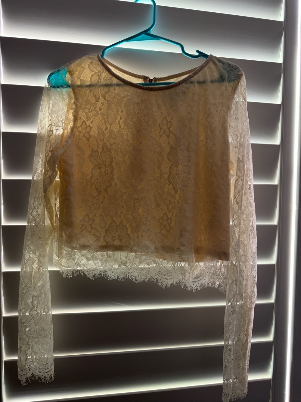 Sheer Lace Long-Sleeve Crop Top - Cream